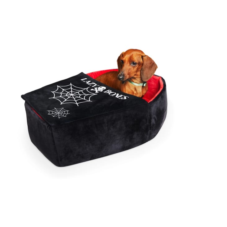 Halloween dog bed top